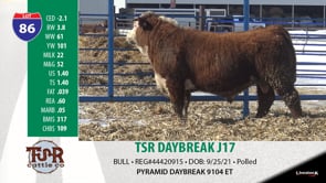 Lot #86 - TSR DAYBREAK J17 ***OUT OF SALE***
