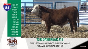 Lot #85 - TSR DAYBREAK J13