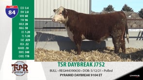 Lot #84 - TSR DAYBREAK J752