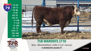 Lot #79 - TSR MANDATE J710