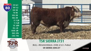 Lot #80 - TSR SIERRA J731