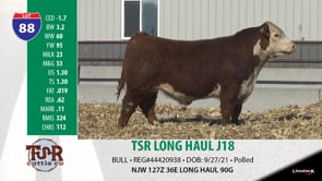Lot #88 - TSR LONG HAUL J18