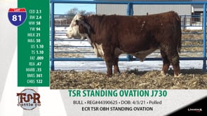 Lot #81 - TSR STANDING OVATION J730