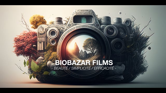 BF - demo reel 2019-2021