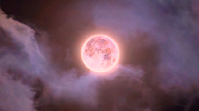 Moonlight Night Moon - Free video on Pixabay