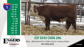 Lot #1 - ESF 0343 CUDA 206