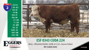 Lot #2 - ESF 0343 CUDA 224