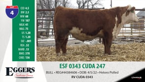 Lot #4 - ESF 0343 CUDA 247