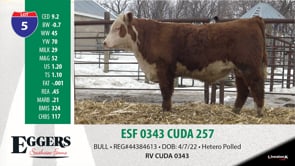 Lot #5 - ESF 0343 CUDA 257