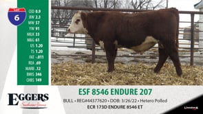 Lot #6 - ESF 8546 ENDURE 207