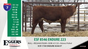 Lot #7 - ESF 8546 ENDURE 223