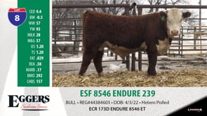 Lot #8 - ESF 8546 ENDURE 239