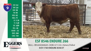 Lot #9 - ESF 8546 ENDURE 266