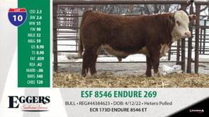 Lot #10 - ESF 8546 ENDURE 269
