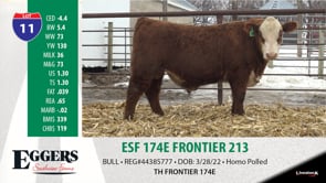 Lot #11 - ESF 174E FRONTIER 213