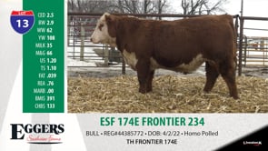 Lot #13 - ESF 174E FRONTIER 234