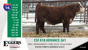 Lot #16 - ESF 818 ADVANCE 261