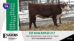 Lot #19 - ESF 8546 KAYLEE 217