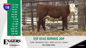 Lot #18 - ESF 0343 BONNIE 209