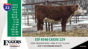 Lot #22 - ESF 8546 CASSIE 229