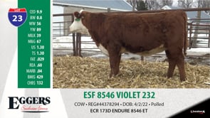 Lot #23 - ESF 8546 VIOLET 232