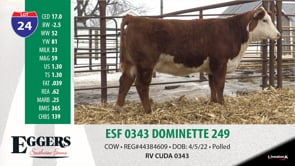 Lot #24 - ESF 0343 DOMINETTE 249