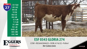Lot #27 - ESF 0343 GLORIA 274