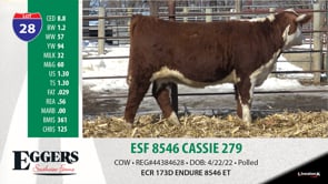 Lot #28 - ESF 8546 CASSIE 279
