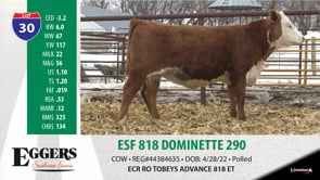 Lot #30 - ESF 818 DOMINETTE 290