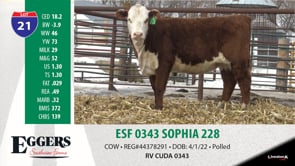 Lot #21 - ESF 0343 SOPHIA 228