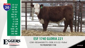 Lot #20 - ESF 174E GLORIA 221