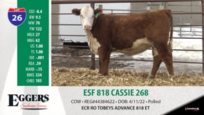 Lot #26 - ESF 818 CASSIE 268