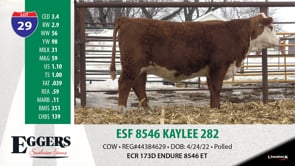 Lot #29 - ESF 8546 KAYLEE 282