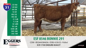 Lot #31 - ESF 8546 BONNIE 291