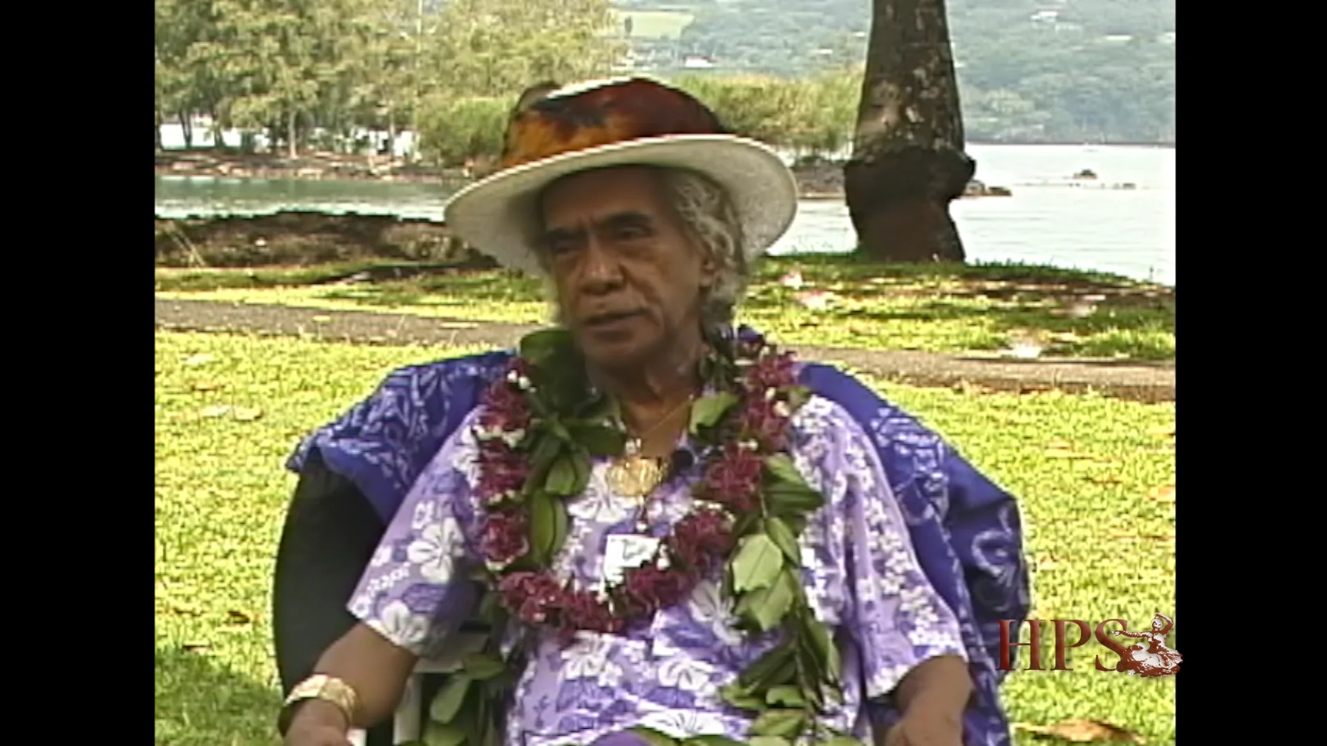 AOR CD Hawaii George Naope Golden Treas