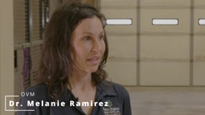 Melanie Ramirez, DVM : Evolution of an Equine Veterinary Career