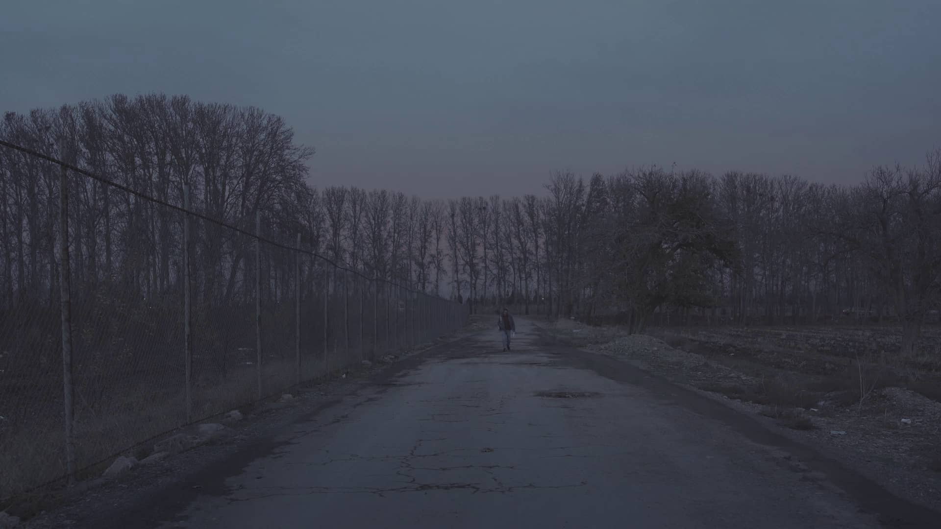 Presence Official Trailer.mp4 on Vimeo