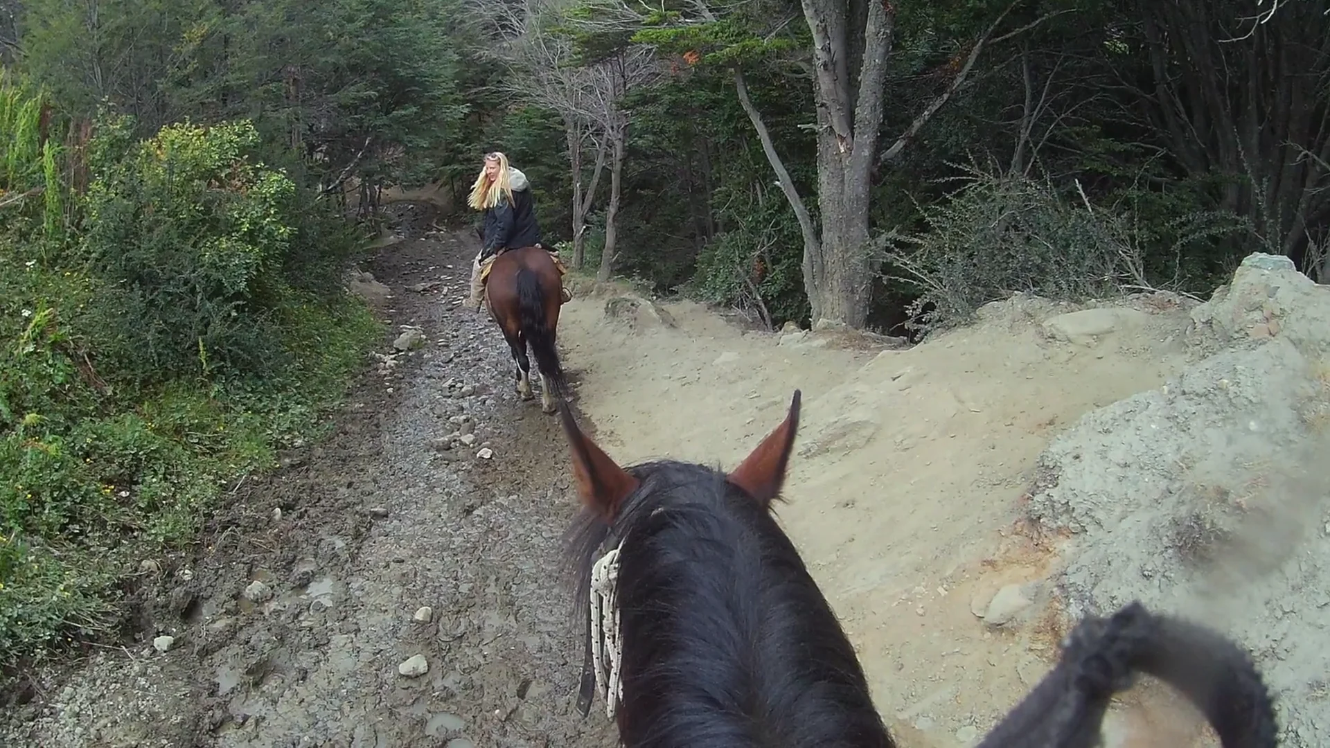 Trail riding.mp4 on Vimeo