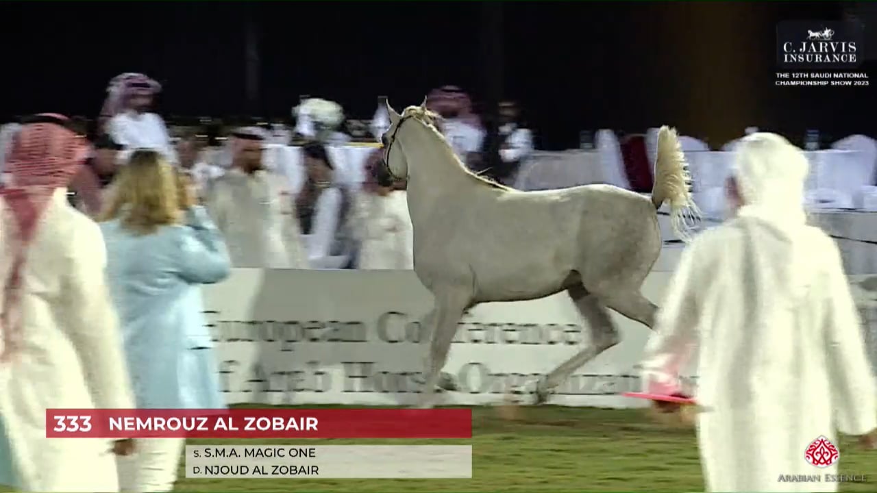 N.333 NEMROUZ AL ZOBAIR - The Saudi National Championships 2023 - Colts ...