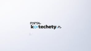 Autoprezentacja i osobisty wizerunek w pracy nauczyciela