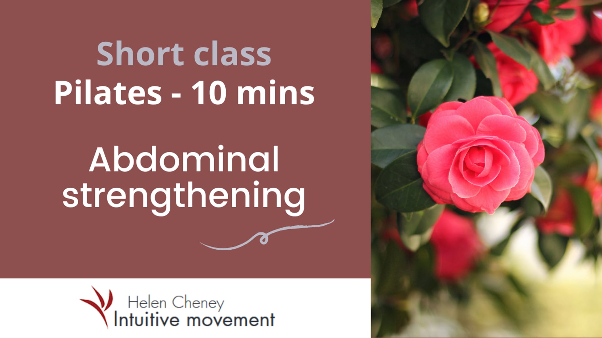 Short class - Pilates abdominal strength