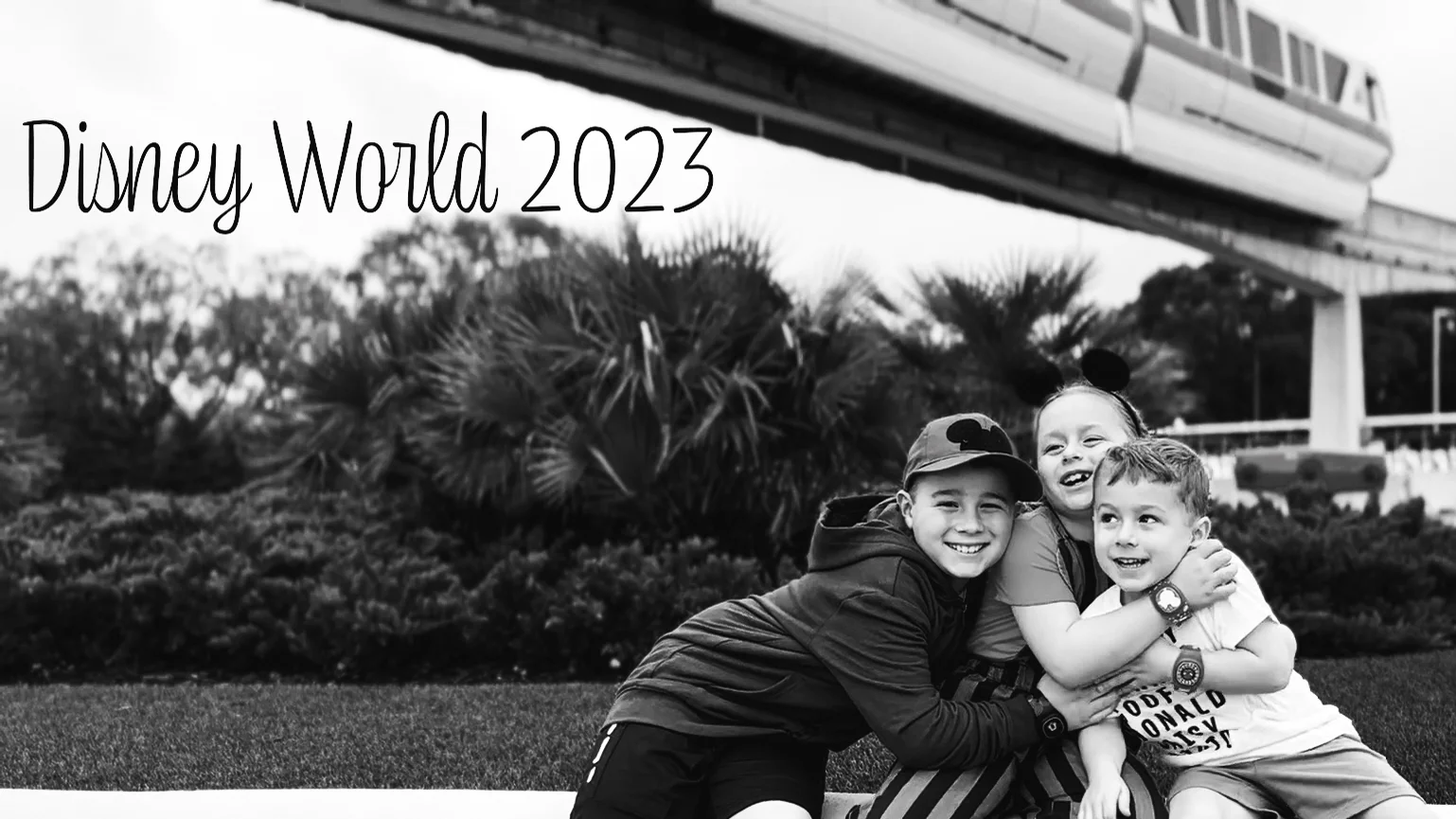 Disney World 2023 on Vimeo