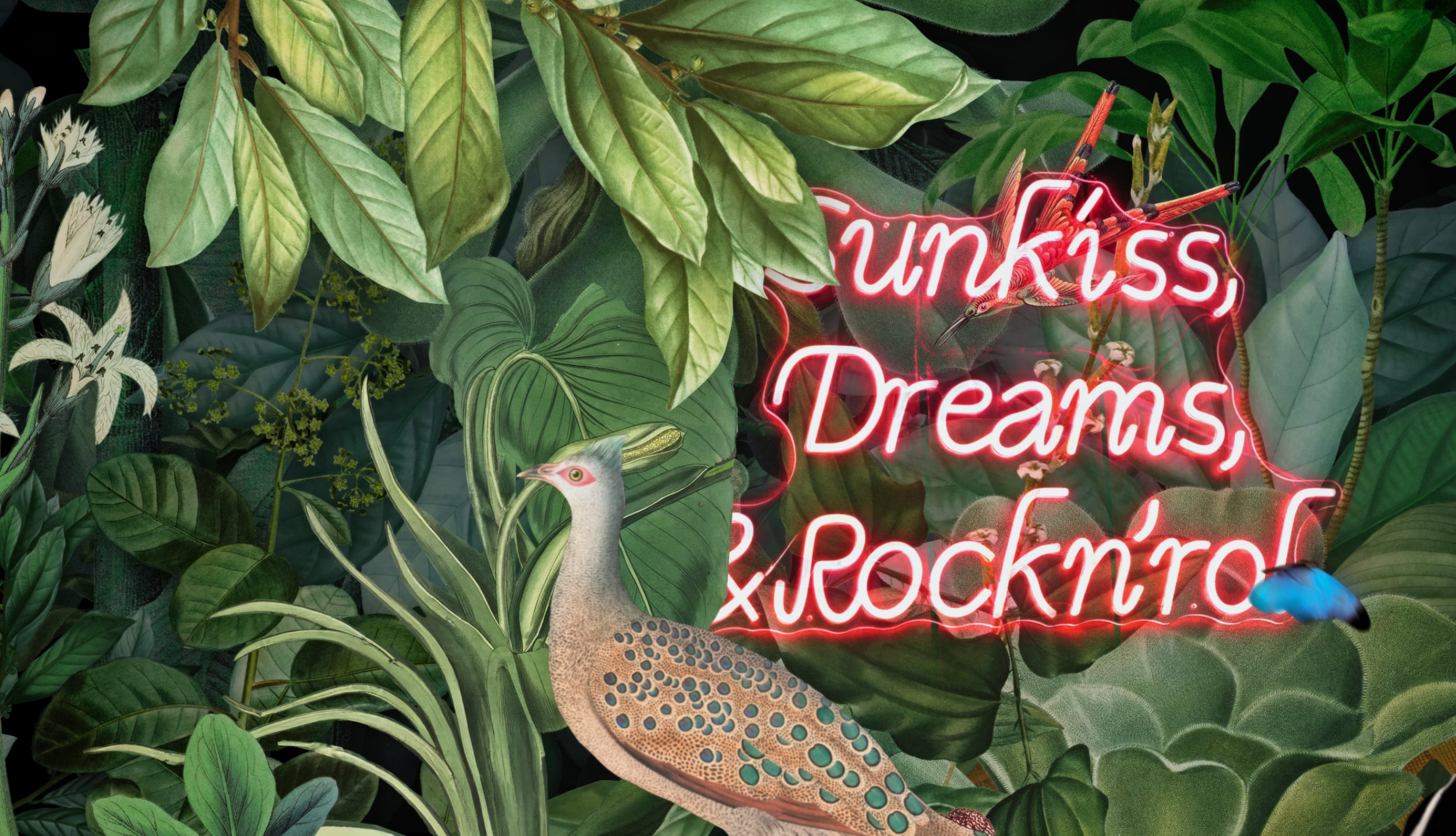 SUN KISS - Rooftop Dining Bar Ident