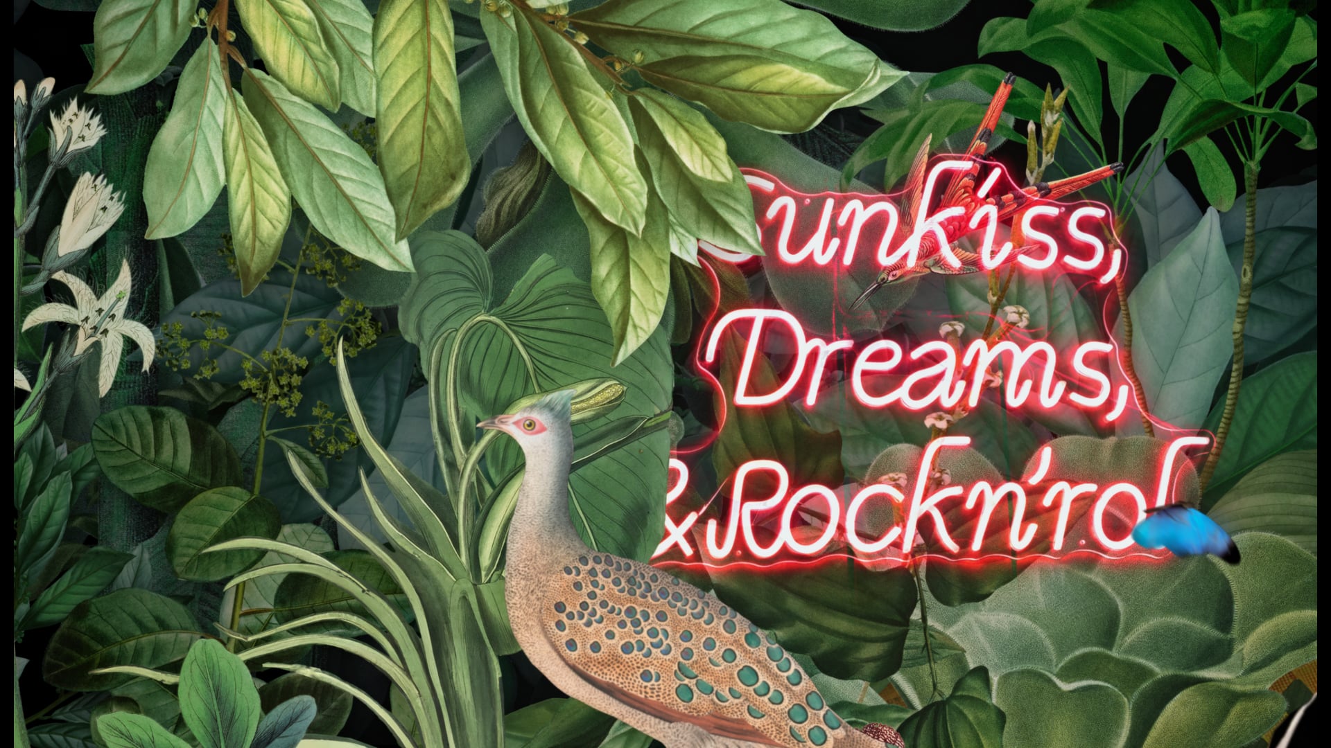 SUN KISS - Rooftop Dining Bar Ident