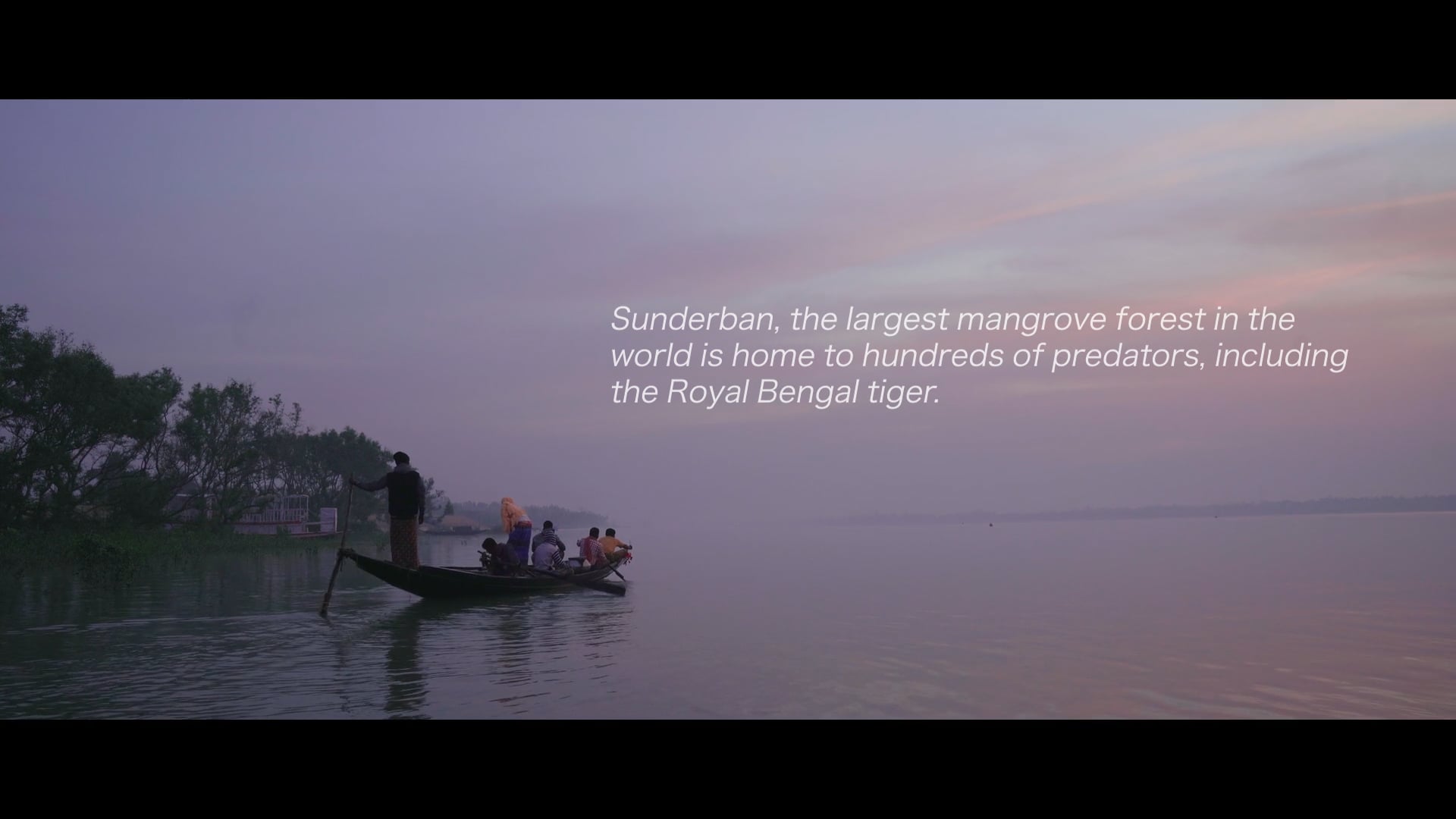 Dabur Honey | The Honey Trail: Sunderban Chapter