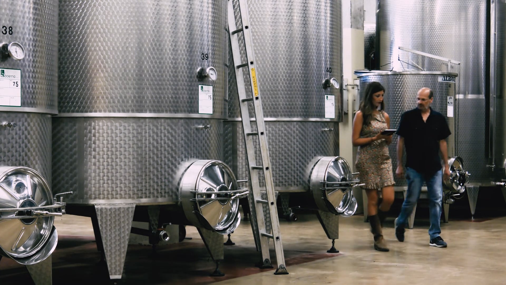 Il vino è un mondo vivo | The world of wine is alive