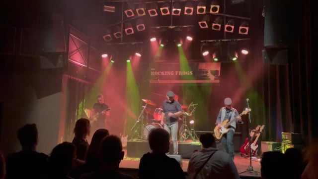 The Rocking Frogs video preview