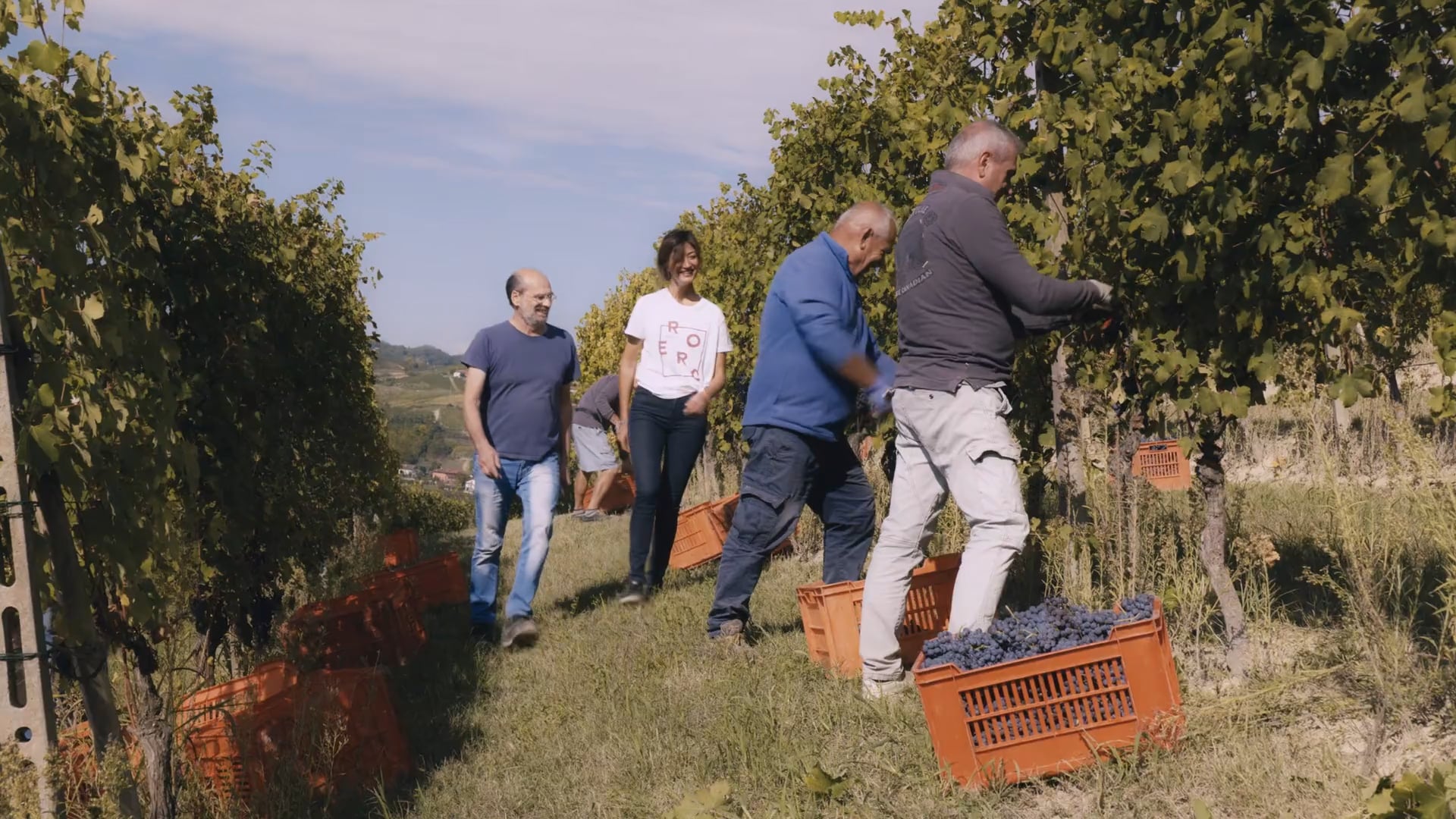 I giorni della vendemmia | Harvest Days