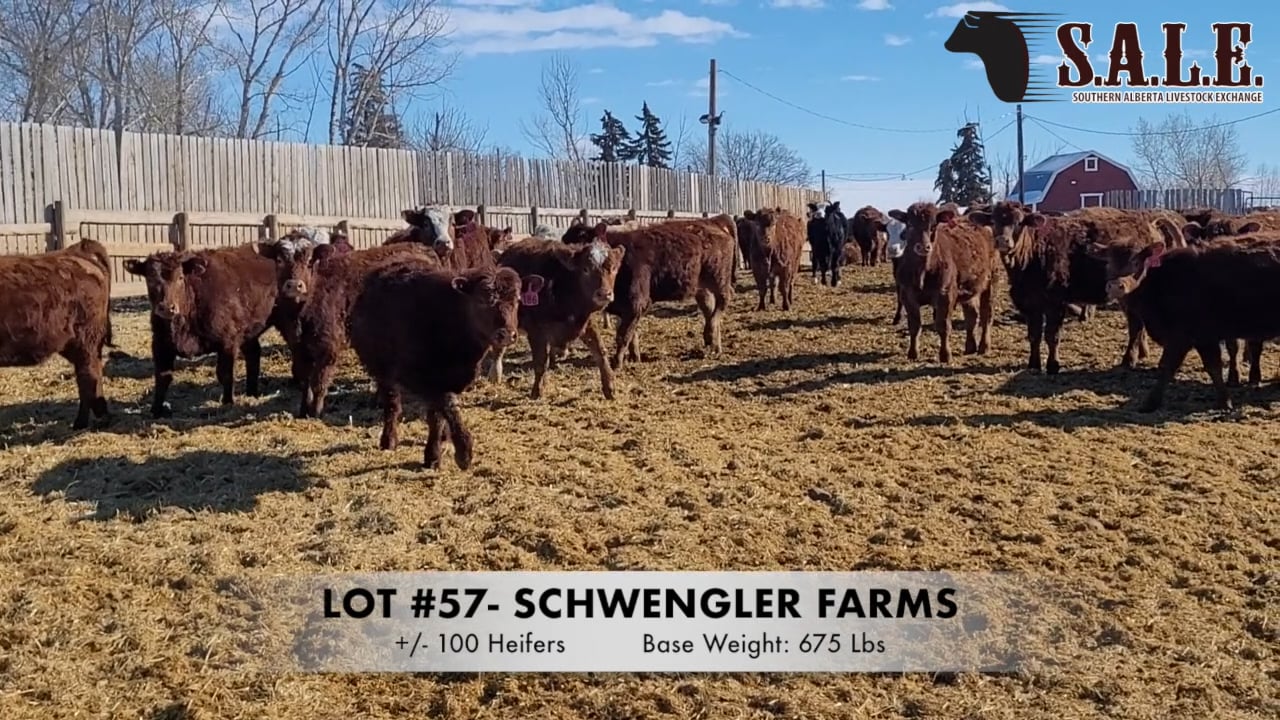 LOT 57- SCHWENGLER FARMS.mp4 on Vimeo