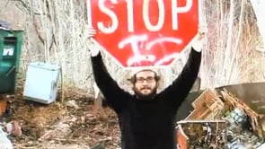 Starewicz Stop Motion movies